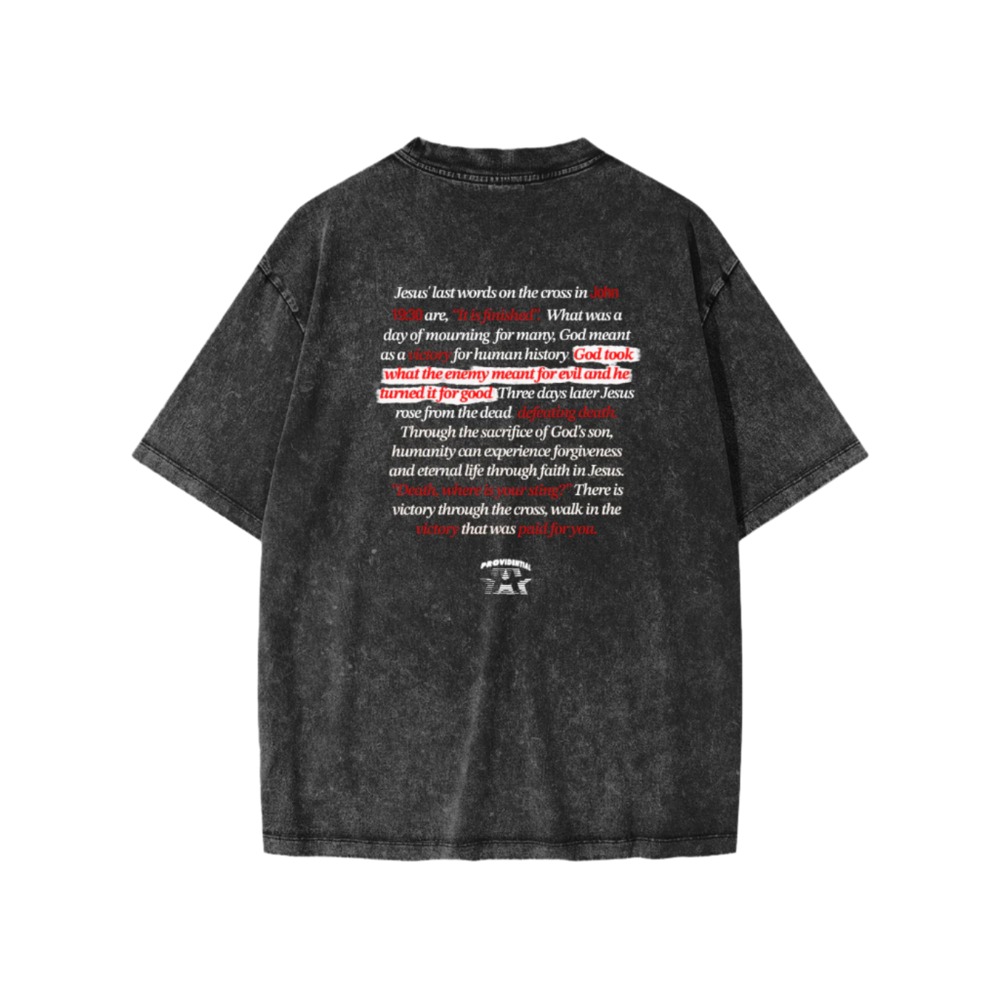 "VICTORY" YOUTH WASHED UNISEX TEE (Light Font)