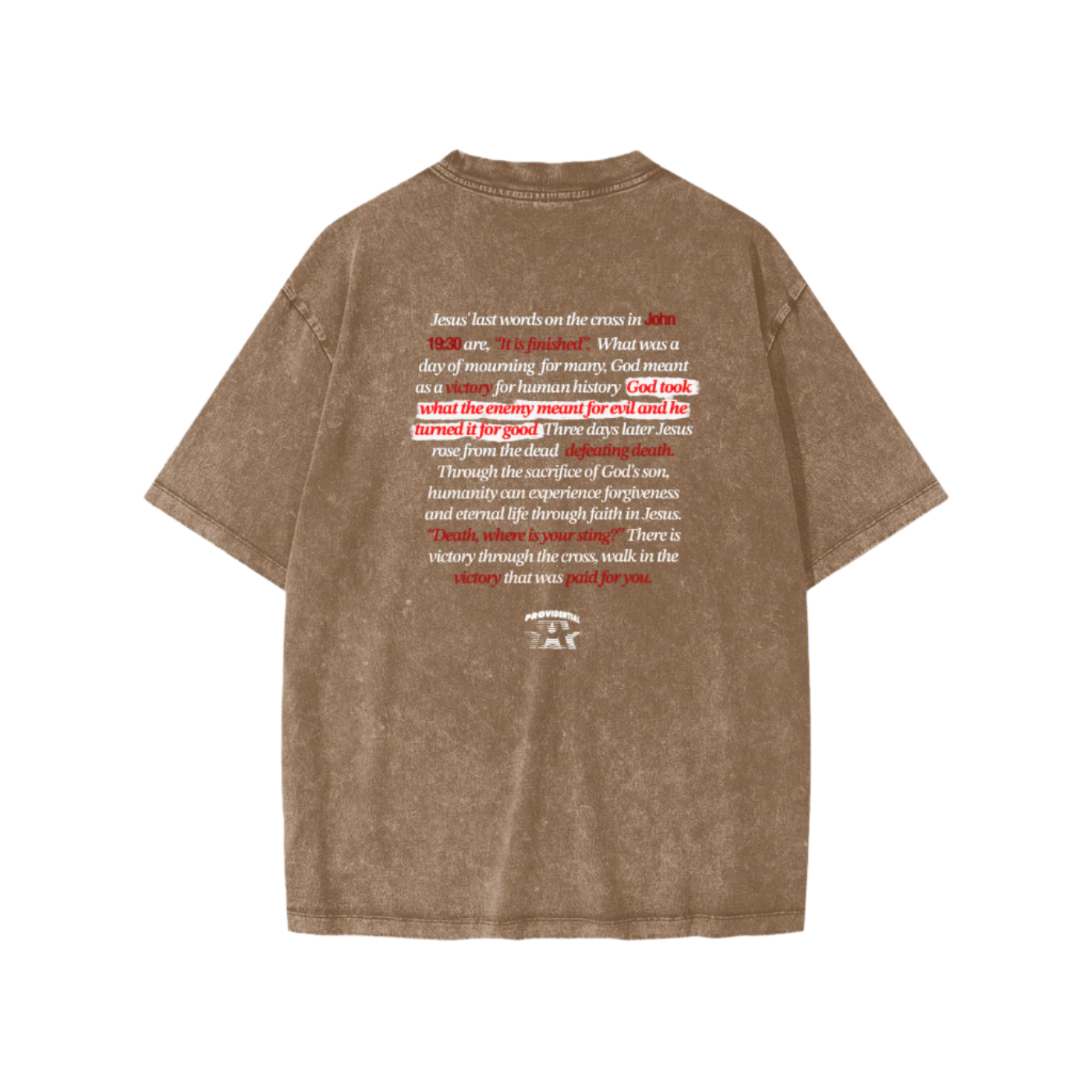 "VICTORY" YOUTH WASHED UNISEX TEE (Light Font)